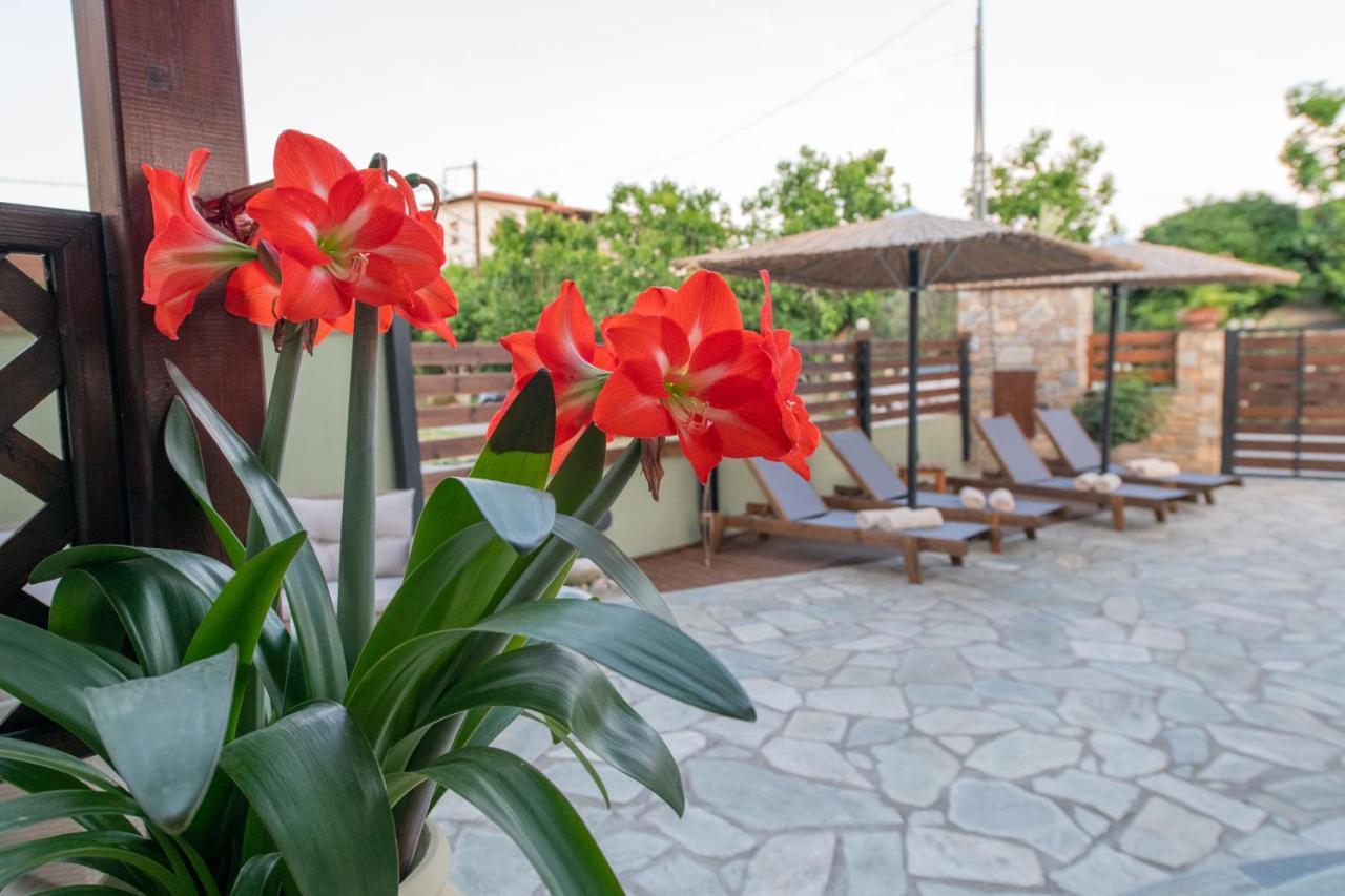 Villa Filyra Kato Gatzea Dış mekan fotoğraf